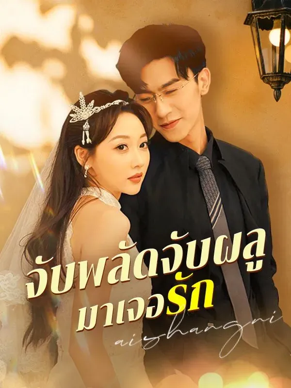 จับพลัดจับผลูมาเจอรักsub