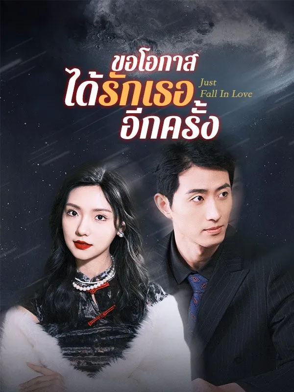 ขอโอกาสได้รักเธออีกครั้งsub
